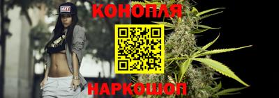 индика Чебоксары