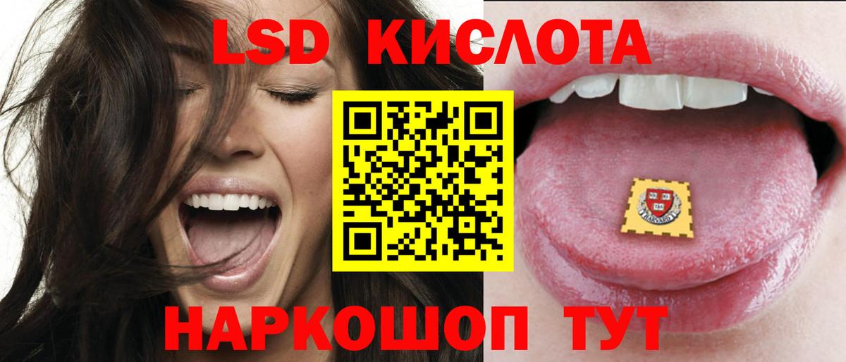 Бердск  LSD-25 экстази кислота  Вход с VPN  Лсд 25 экстази  LSD-25 экстази кислота 