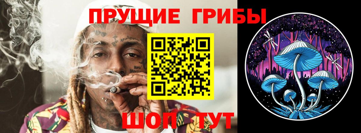 Галлюциногенные грибы Cubensis Бердск
